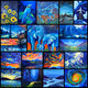 Bright Gallery