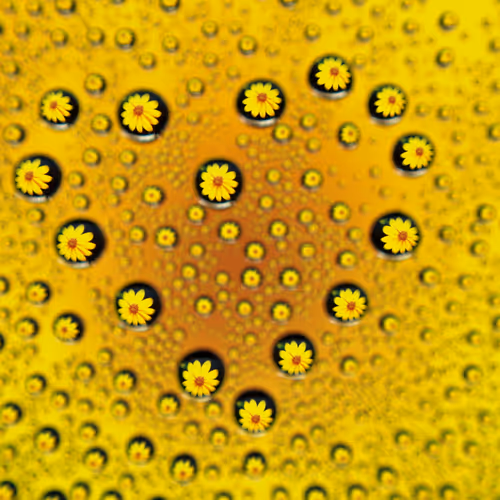 drop and macro