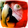 Pets we all love in art