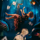The Girl in Wonderland