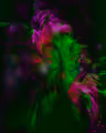 Ethereal - The Definitive Collection