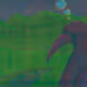 MUSEdao Lore