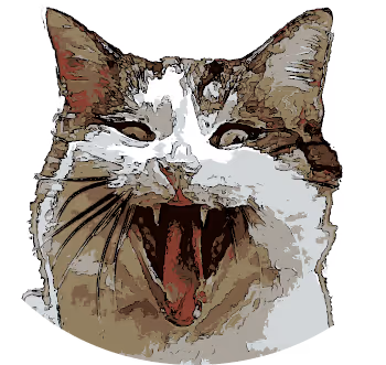 ExtremeHyperActiveCat