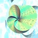 dynamicElements 3Dstyle