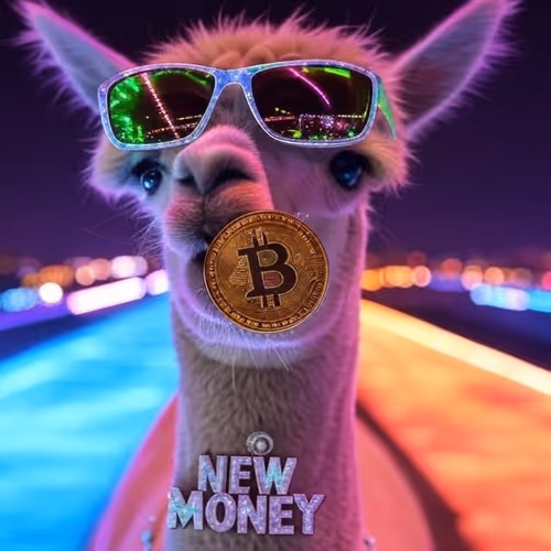 New Meta Money