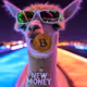 New Meta Money