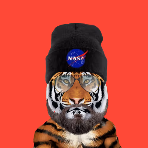 THE INNOCENT TIGERS