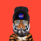 THE INNOCENT TIGERS