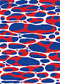 Water Surface NBA Collection