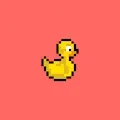Dodgy Ducks