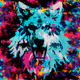 wolves-dogs-collection