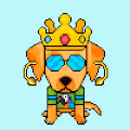CoolPups