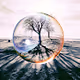 Anounamous Images - old