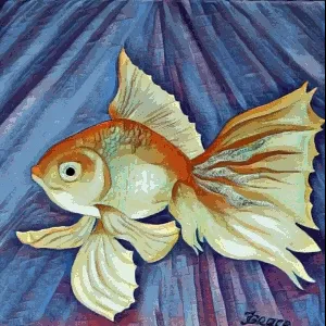 Goldfish by Tatjana Grace