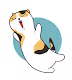 catjump
