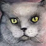 King Kat collection #1