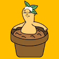 Mandrake - old