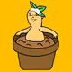 Mandrake - old