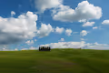Countryside's Leprechauns - Tuscany Series - old