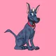 Xolo Cartoons