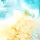 Apricot Blossom Design V3