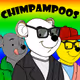 Chimpampoos