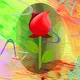 Rare Roses