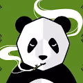 PANDA power ft Soleaswest