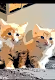 Crypto Kitten Collective - old