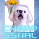 chapp-ssarl