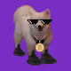 bredyeezyyeti