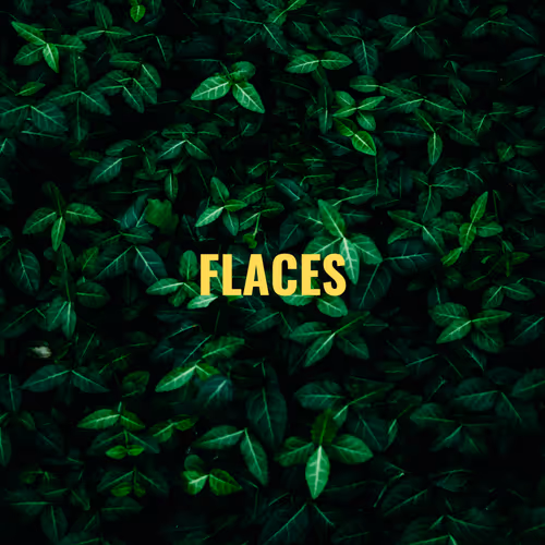 Flace