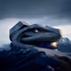 THE REPTILIAN HOUSES