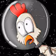 Animals in Space Collection