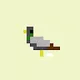The Crypto Pigeons