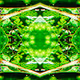 Plantae illusion