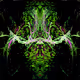 Psychx Frxgments