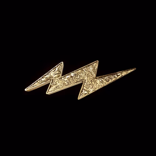 Danger Zone DAO Coins