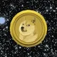 Doge For the World!