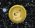 Doge For the World!