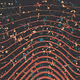 processed (art): manifest