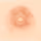 Nippz