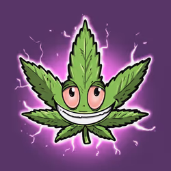 项目媒体占位符