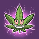 Weed Dudes