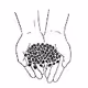 The world's leading coffee bean