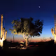 Wonders of The Planet - old