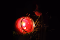 Light-Play