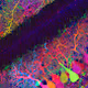 neuroGAN