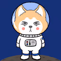 Chubby Akita