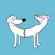 Catdogs Club